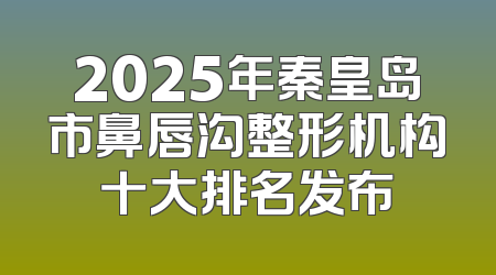 2025年秦皇岛市鼻唇沟整形机构十大排名发布