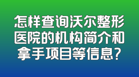怎样查询沃尔整形医院的机构简介和拿手项目等信息？