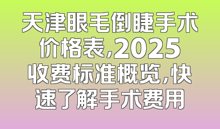 天津眼毛倒睫手术价格表，2025收费标准概览，快速了解手术费用