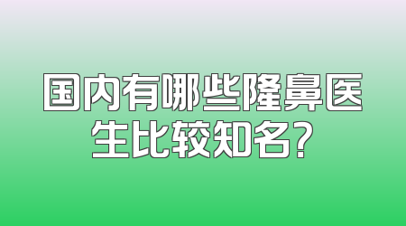 国内有哪些隆鼻医生比较知名？