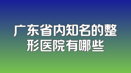 广东省内知名的整形医院有哪些