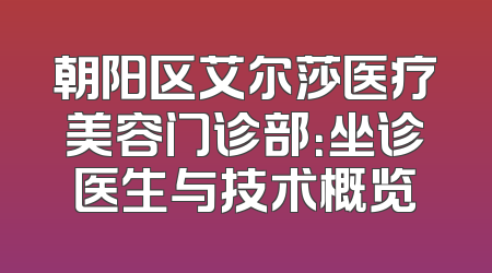 朝阳区艾尔莎医疗美容门诊部：坐诊医生与技术概览