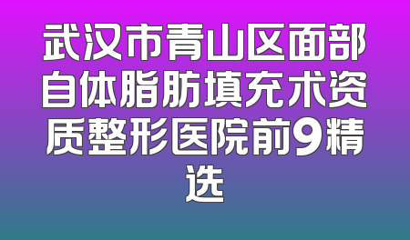 武汉市青山区面部自体脂肪填充术资质整形医院前9精选