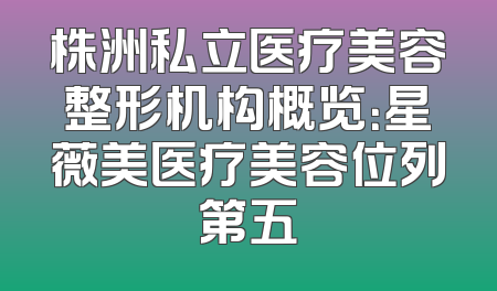 株洲私立医疗美容整形机构概览：星薇美医疗美容位列第五