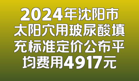 2024年沈阳市太阳穴用玻尿酸填充标准定价公布平均费用4917元