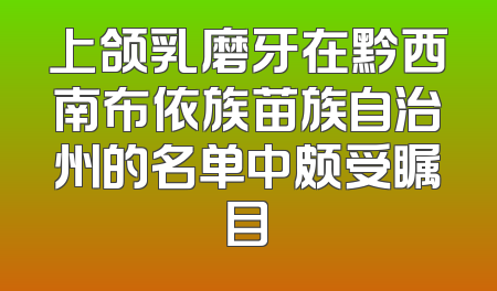 上颌乳磨牙在黔西南布依族苗族自治州的名单中颇受瞩目