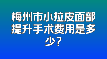 梅州市小拉皮面部提升手术费用是多少？