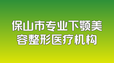 保山市专业下颚美容整形医疗机构