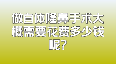 做自体隆鼻手术大概需要花费多少钱呢？