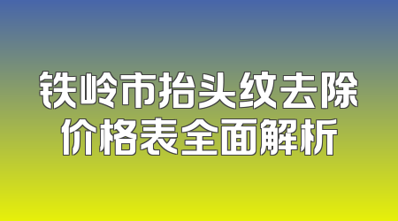 铁岭市抬头纹去除价格表全面解析