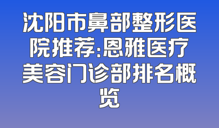 沈阳市鼻部整形医院推荐：恩雅医疗美容门诊部排名概览
