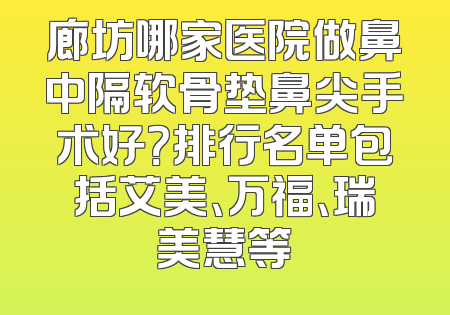 廊坊哪家医院做鼻中隔软骨垫鼻尖手术好？排行名单包括艾美、万福、瑞美慧等