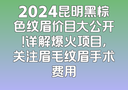 2024昆明黑棕色纹眉价目大公开！详解爆火项目，关注眉毛纹眉手术费用