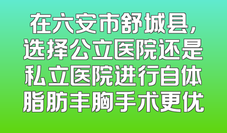 在六安市舒城县，选择公立医院还是私立医院进行自体脂肪丰胸手术更优