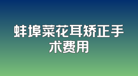 蚌埠菜花耳矫正手术费用
