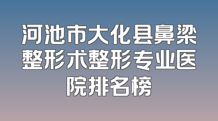 河池市大化县鼻梁整形术整形专业医院排名榜