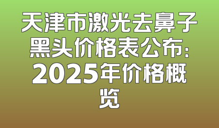 天津市激光去鼻子黑头价格表公布：2025年价格概览