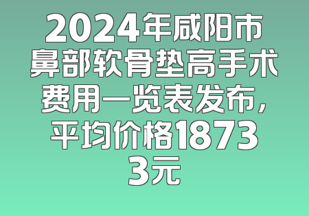 2024年咸阳市鼻部软骨垫高手术费用一览表发布，平均价格18733元