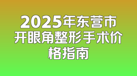 2025年东营市开眼角整形手术价格指南