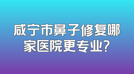 咸宁市鼻子修复哪家医院更专业？