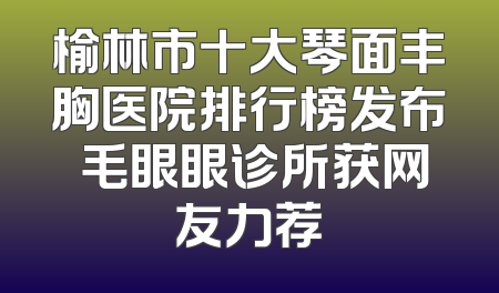 榆林市十大琴面丰胸医院排行榜发布 毛眼眼诊所获网友力荐