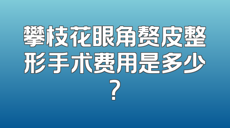 攀枝花眼角赘皮整形手术费用是多少？