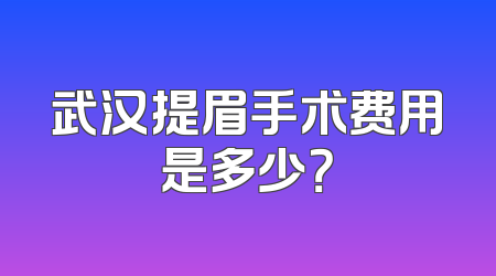 武汉提眉手术费用是多少？