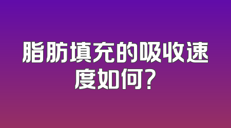 脂肪填充的吸收速度如何？