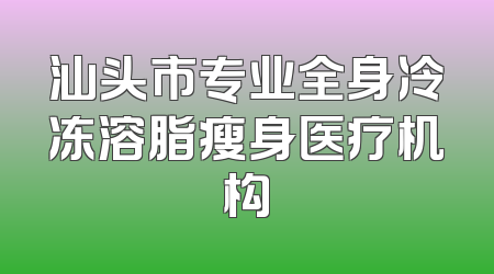 汕头市专业全身冷冻溶脂瘦身医疗机构