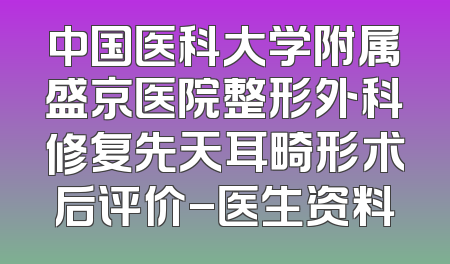 中国医科大学附属盛京医院整形外科修复先天耳畸形术后评价-医生资料