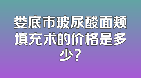 娄底市玻尿酸面颊填充术的价格是多少？
