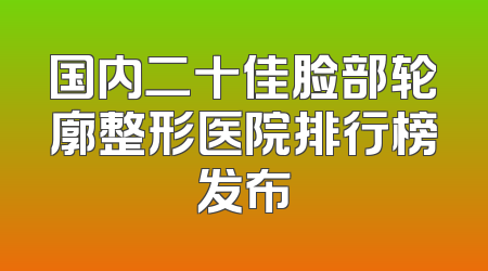 国内二十佳脸部轮廓整形医院排行榜发布