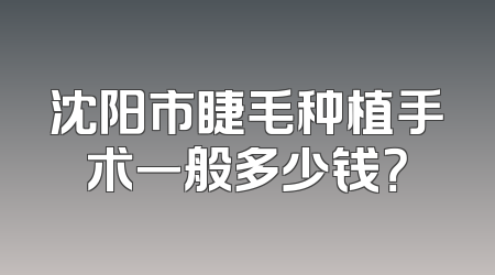 沈阳市睫毛种植手术一般多少钱？