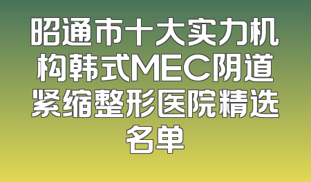 昭通市十大实力机构韩式MEC阴道紧缩整形医院精选名单
