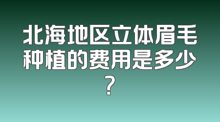 北海地区立体眉毛种植的费用是多少？