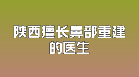 陕西擅长鼻部重建的医生