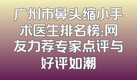 广州市鼻头缩小手术医生排名榜：网友力荐专家点评与好评如潮