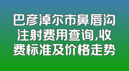 巴彦淖尔市鼻唇沟注射费用查询，收费标准及价格走势