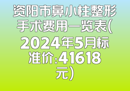 资阳市鼻小柱整形手术费用一览表（2024年5月标准价：41618元）