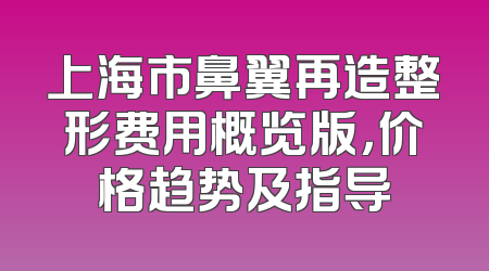 上海市鼻翼再造整形费用概览版，价格趋势及指导