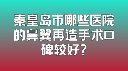 秦皇岛市哪些医院的鼻翼再造手术口碑较好？