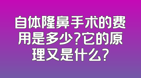 自体隆鼻手术的费用是多少？它的原理又是什么？