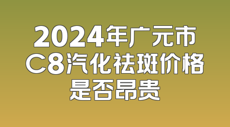 2024年广元市C8汽化祛斑价格是否昂贵