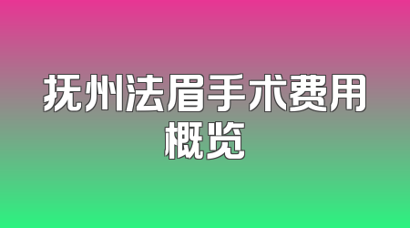 抚州法眉手术费用概览