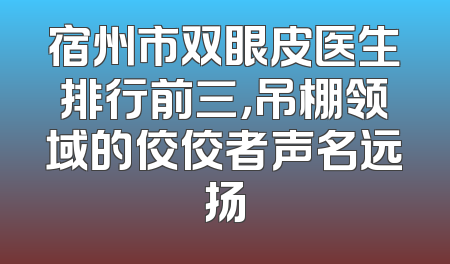 宿州市双眼皮医生排行前三，吊棚领域的佼佼者声名远扬
