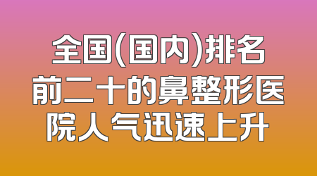 全国（国内）排名前二十的鼻整形医院人气迅速上升