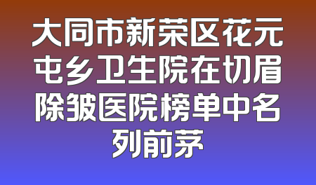 大同市新荣区花元屯乡卫生院在切眉除皱医院榜单中名列前茅