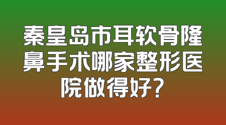 秦皇岛市耳软骨隆鼻手术哪家整形医院做得好？