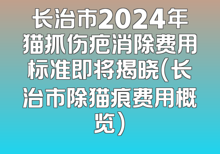长治市2024年猫抓伤疤消除费用标准即将揭晓（长治市除猫痕费用概览）