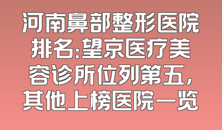 河南鼻部整形医院排名：望京医疗美容诊所位列第五，其他上榜医院一览